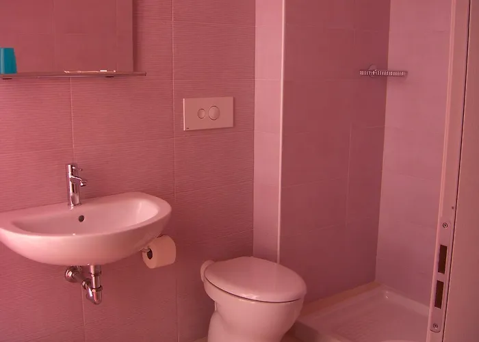 מלון Flaminio 3*